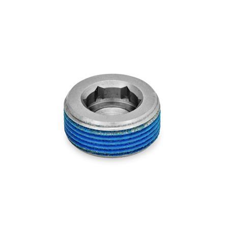 Otto Ganter Stainless Steel Blanking Plug, GN 252.5